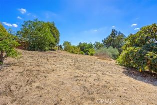 Single Family Residence, 2406 Gum Tree ln, Fallbrook, CA 92028 - 33