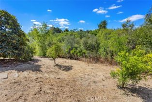 Single Family Residence, 2406 Gum Tree ln, Fallbrook, CA 92028 - 34