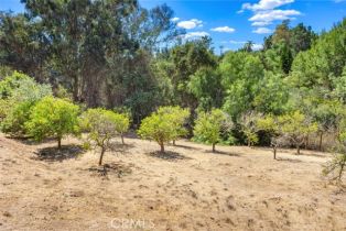 Single Family Residence, 2406 Gum Tree ln, Fallbrook, CA 92028 - 35