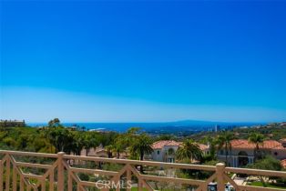 Single Family Residence, 5 Telescope, Newport Coast, CA 92657 - 29