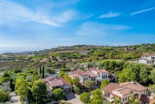 Single Family Residence, 11 Highpoint, Newport Coast, CA 92657 - 10