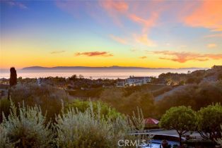 Single Family Residence, 11 Highpoint, Newport Coast, CA 92657 - 47