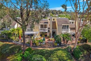 Single Family Residence, 9 Parkman rd, Laguna Niguel, CA 92677 - 40