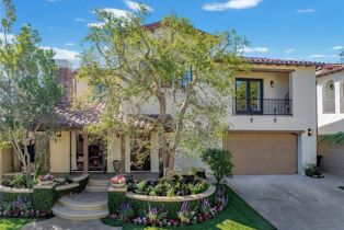 Single Family Residence, 11 Highpoint, Newport Coast, CA 92657 - 53