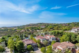 Single Family Residence, 11 Highpoint, Newport Coast, CA 92657 - 63