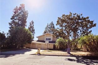 Residential Lease, 1790  N Mountain View PL, Fullerton, CA  Fullerton, CA 92831