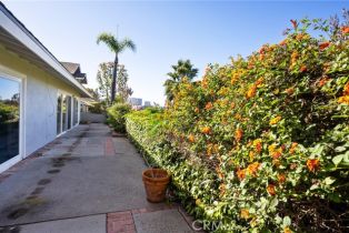 Single Family Residence, 2229 Alta Vista dr, Newport Beach, CA 92660 - 27