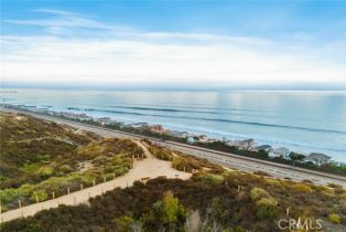 Single Family Residence, 101 Via Artemesia, San Clemente, CA 92672 - 2