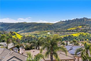 Single Family Residence, 27761 Manor Hill rd, Laguna Niguel, CA 92677 - 31