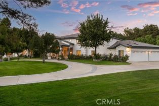 Single Family Residence, 22902 Sonriente, CA  , CA 92679