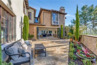 Single Family Residence, 16 Eucalyptus, Newport Coast, CA 92657 - 2