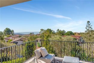 Single Family Residence, 16 Eucalyptus, Newport Coast, CA 92657 - 36