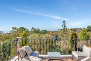 Single Family Residence, 16 Eucalyptus, Newport Coast, CA 92657 - 38