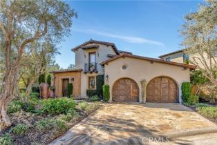 Single Family Residence, 16 Eucalyptus, Newport Coast, CA  Newport Coast, CA 92657