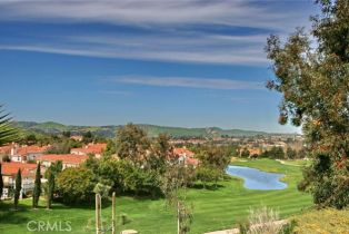 Single Family Residence, 32022 Via Canela, San Juan Capistrano, CA 92675 - 40