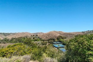 Single Family Residence, 431 Calle Familia, San Clemente, CA 92672 - 39