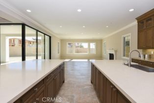 Single Family Residence, 100 Panorama, Irvine, CA 92618 - 24