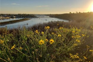 Single Family Residence, 337 Holmwood dr, Newport Beach, CA 92663 - 50