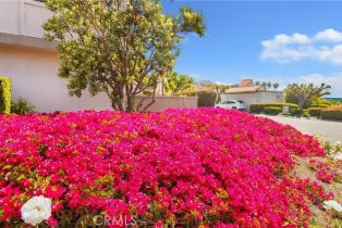 Single Family Residence, 718 Calle Casita, San Clemente, CA 92673 - 25