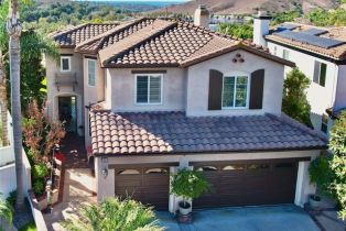 Single Family Residence, 95 Via Sonrisa, San Clemente, CA  San Clemente, CA 92673