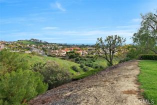 Single Family Residence, 1 Taywood ct, Laguna Niguel, CA 92677 - 37