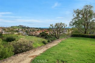 Single Family Residence, 1 Taywood ct, Laguna Niguel, CA 92677 - 38