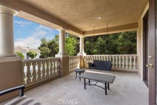 Single Family Residence, 3 Fair Valley, Coto De Caza, CA 92679 - 41