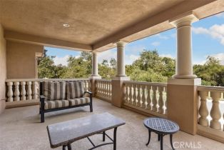 Single Family Residence, 3 Fair Valley, Coto De Caza, CA 92679 - 42