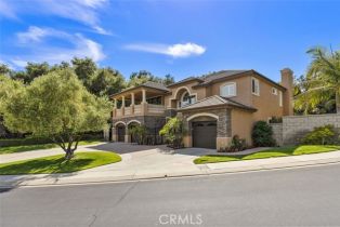 Single Family Residence, 3 Fair Valley, Coto De Caza, CA 92679 - 57