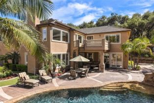 Single Family Residence, 3 Fair Valley, Coto De Caza, CA 92679 - 70