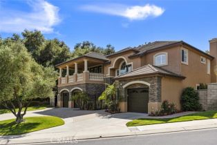 Single Family Residence, 3 Fair Valley, Coto De Caza, CA  Coto De Caza, CA 92679