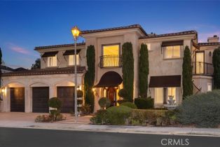 Single Family Residence, 16 Cresta Del Sol, San Clemente, CA 92673 - 42