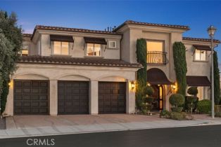 Single Family Residence, 16 Cresta Del Sol, San Clemente, CA 92673 - 43