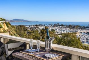 Townhouse, 24536 Santa Clara ave, Dana Point, CA 92629 - 30