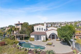 Single Family Residence, 12 Cape Frio, Newport Coast, CA 92657 - 45