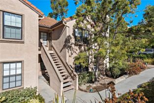 Residential Lease, 1046 Calle Del Cerro, San Clemente, CA  San Clemente, CA 92672