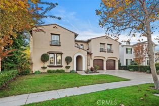 Single Family Residence, 8 David ST, Ladera Ranch, CA  Ladera Ranch, CA 92694