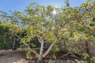 Single Family Residence, 219 Esplanade, San Clemente, CA 92672 - 45