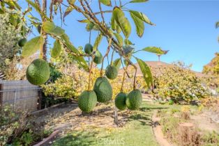 Single Family Residence, 219 Esplanade, San Clemente, CA 92672 - 46