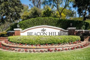 Single Family Residence, 19 Ashburton pl, Laguna Niguel, CA 92677 - 54