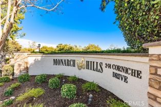 Condominium, 40 Corniche dr, Dana Point, CA 92629 - 32