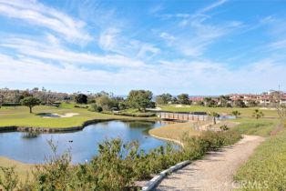 Condominium, 40 Corniche dr, Dana Point, CA 92629 - 35