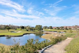 Condominium, 40 Corniche dr, Dana Point, CA 92629 - 46