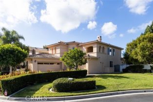 Single Family Residence, 30871 Via Ultimo, San Juan Capistrano, CA 92675 - 3