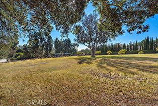 Single Family Residence, 31593 Aguacate rd, San Juan Capistrano, CA 92675 - 4