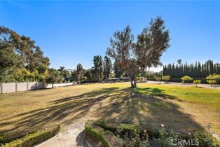 Single Family Residence, 31593 Aguacate rd, San Juan Capistrano, CA 92675 - 5