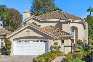 Single Family Residence, 38 San Raphael, Dana Point, CA 92629 - 46