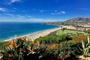 , 34011 Ruby Lantern st, Dana Point, CA 92629 - 32