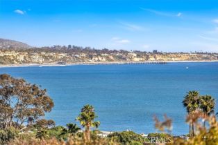 Single Family Residence, 34102 Calle La Primavera, Dana Point, CA 92629 - 9