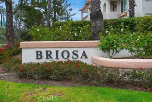 Condominium, 24361 Conejo, Laguna Hills, CA 92656 - 38